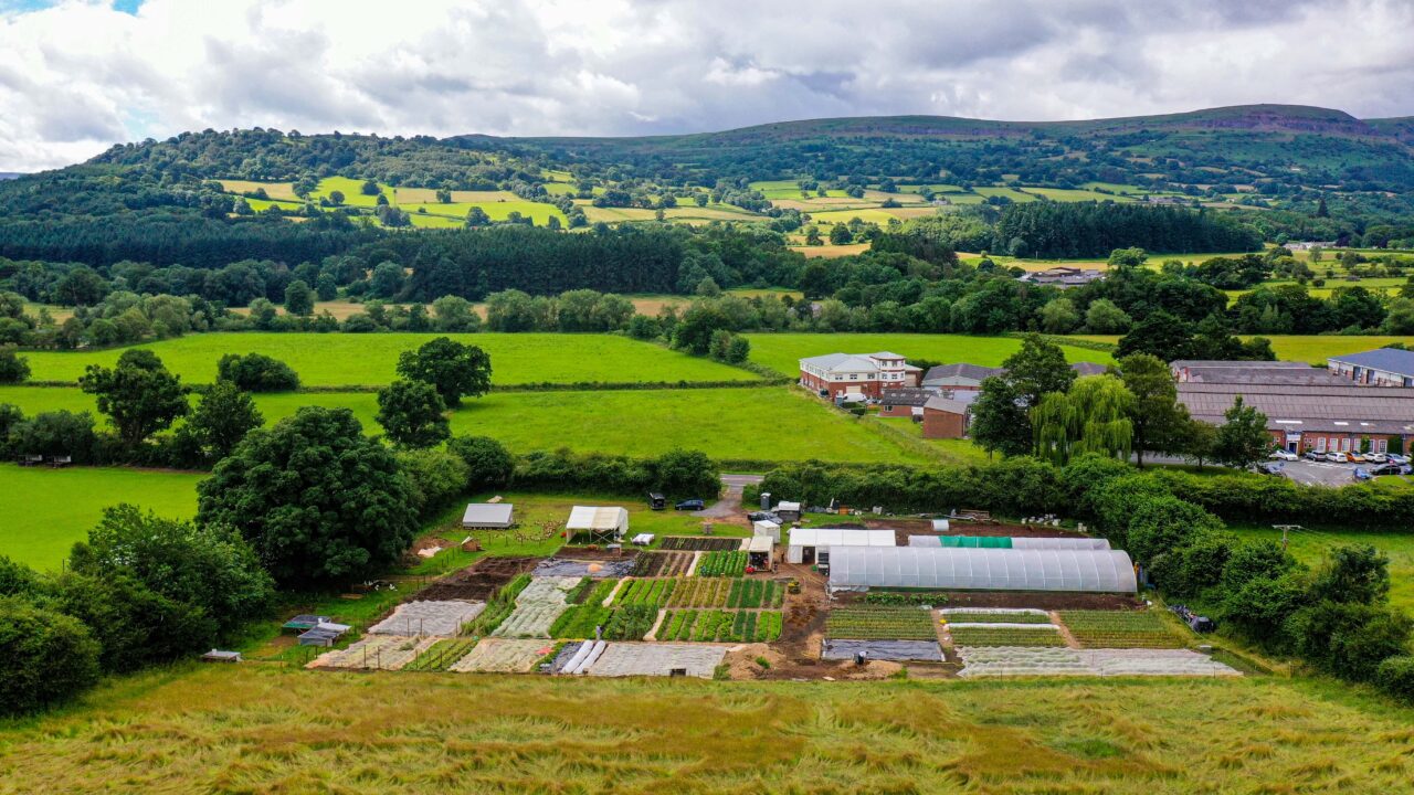 Langtons' Farm