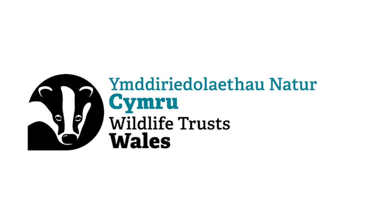 Wildlife Trusts Wales
